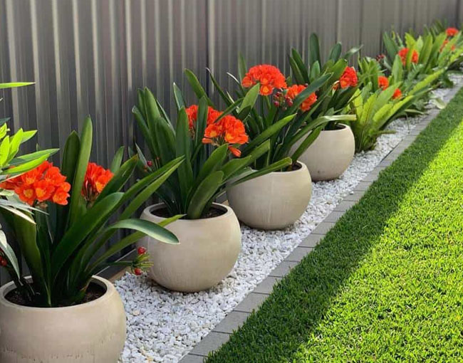 planters